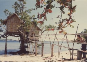 Read more about the article Life in Paradise Part 2