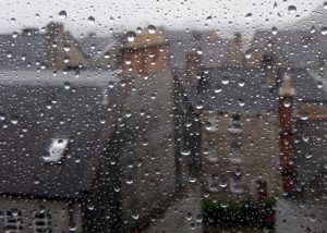 Read more about the article Love in Slough