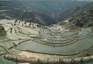 Read more about the article Apat. Life in Paradise Part 1