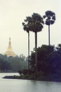 Read more about the article Our Selfish War (Original)